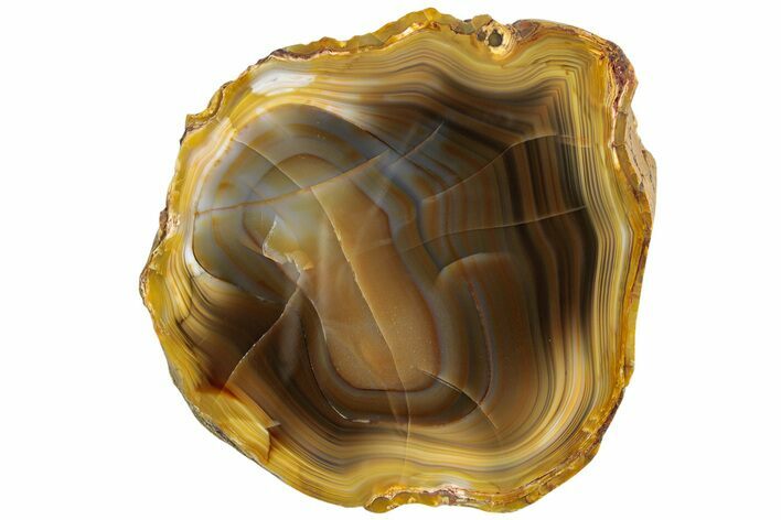 Polished Banded Island Agate Slab - South Pacific #229043